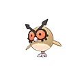 Hoothoot