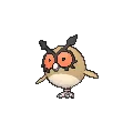 Hoothoot