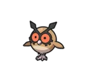 Hoothoot