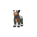 Houndour