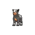 Houndour
