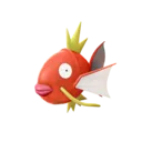 Magikarp