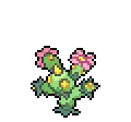 Maractus - Pokemon Sword & Shield