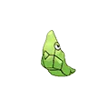 Metapod