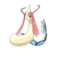 Milotic