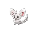 Minccino