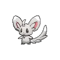 Minccino