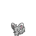 Minccino