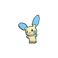 Minun - Pokemon X & Y