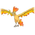 Moltres - Pokemon Omega Ruby & Alpha Sapphire