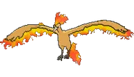 Moltres - Pokemon X & Y