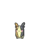 Morpeko