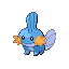 Mudkip