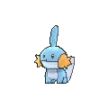 Mudkip