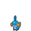 Mudkip