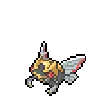Ninjask