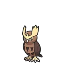 Noctowl