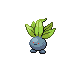 Oddish