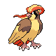 Pidgeot