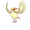 Pidgeot