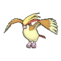 Pidgeot