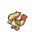 Pidgeot