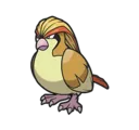 Pidgeot