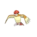 Pidgeotto