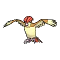 Pidgeotto