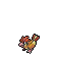 Pidgeotto