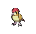Pidgeotto