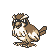 Pidgey
