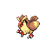 Pidgey