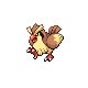 Pidgey