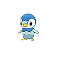 Piplup