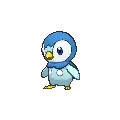 Piplup
