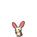Plusle