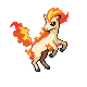 Ponyta