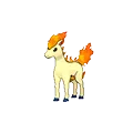 Ponyta