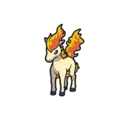 Ponyta