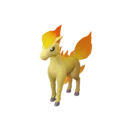 Ponyta