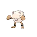 Primeape
