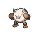 Primeape