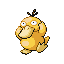 Psyduck