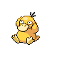 Psyduck