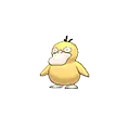Psyduck