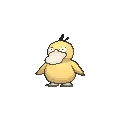 Psyduck