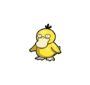 Psyduck