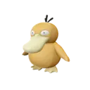Psyduck
