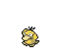 Psyduck